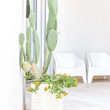 Tatil Evi Casa Croce Bilocale Piano Terra By Salento Com *